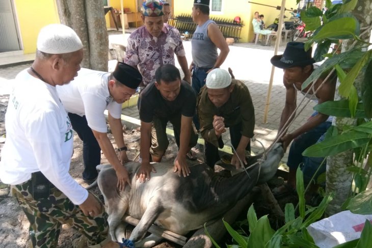 Photo of Mantan Bupati Ngogesa Sumbang 1 Ekor Lembu, PWI Langkat Bagikan Daging Qurban Ke Anggota & Warga