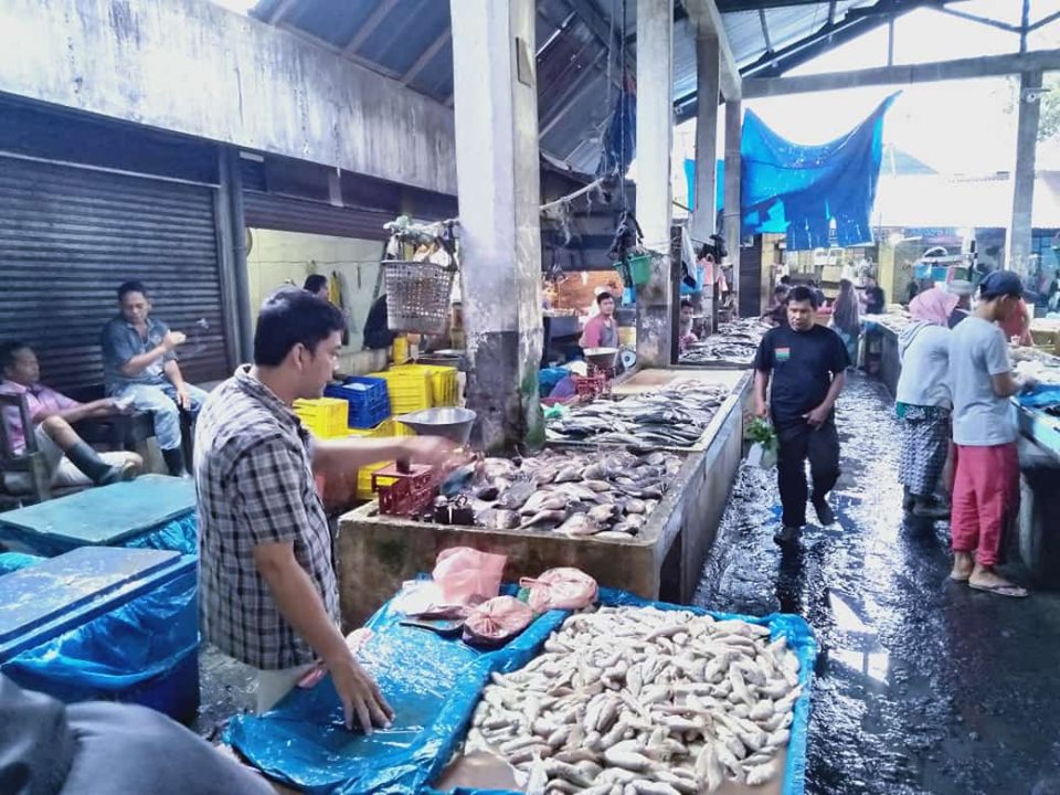 Photo of Dampak Pemberitaan Bangkai Babi, Omset Pedagang Ikan Stabat Menurun