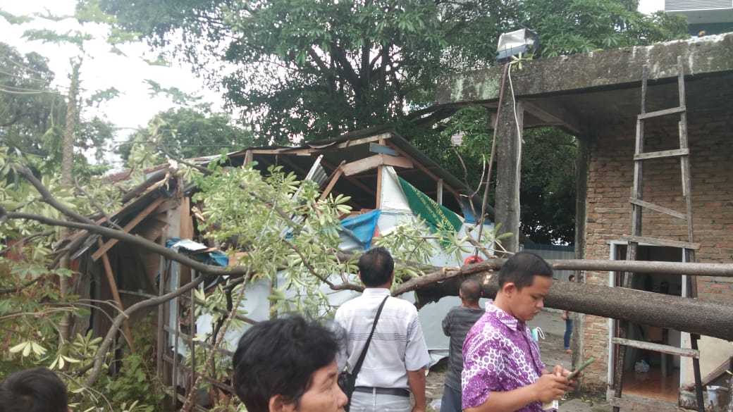 Photo of 3 Kali Surat Dilayangkan Ke Dinas Pertamanan Kota Medan, Akhirnya Pohon Tumbang Timpa Warung Warga Di Sukamulia