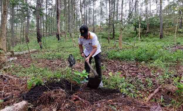 Photo of Edukasi Peduli Lingkungan | Relawan KTH Simalungun Ajak Masyarakat Tanam Bibit Pohon di Kawasan Hutan Danau Toba