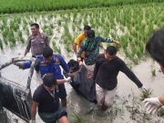 Ngeri Bahh!!! 6 Korban Tewas 1 Sekarat Dilibas si Ular Besi Sribilah