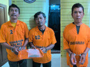 Saat Isap Ganja, 2 Pemakai Plus 1 Petani Diringkus Polres Taput