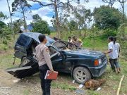 3 Warga Deliserdang Tewas Tertimpa Pohon Durian di Langkat