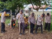 Polsek Perdagangan Gelar Program Ketahanan Pangan, Tanam Jagung