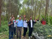 Kunjungi Toba Pulp Lestari, Jurnalis Tinjau Pabrik dan Panen Cabai
