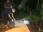 Geger di Pantai Cermin, Mayat Siswi SMP Ditemukan dalam Karung