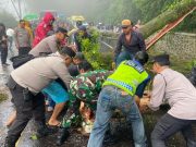 Polres Tanah Karo Tanggap Darurat, Jalur Berastagi-Medan Kembali Normal Pascapohon Tumbang