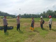 Dukung Ketahanan Pangan, Polresta Deli Serdang Akan Tanam Jagung Seluas 8,016 Hektar di Batulokong