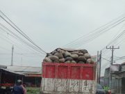 Truck Angkut Batu Bahayakan Pengguna Jalan Marak di Tanjung Anom