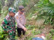 Mayat Pria Tanpa Identitas Dengan Leher Digorok Tergeletak di Jalan Kutalimbaru