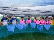 Polda Sumut Panen Lele Perdana Dukung Program Ketahanan Pangan