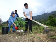 Lestarikan Kawasan Hutan, Gubernur Sumut Bobby Nasution Tanam Pohon dan Bagikan Ribuan Bibit