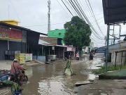 Protes Jalan Rusak, Warga Sunggal Tancapkan Pohon Pisang