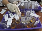 Arus Balik Libur Mudik Lebaran Bandara Kualanamu, Kru Pesawat Pilot dan Masinis Kereta di Tes Urine