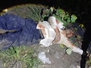 Diduga Cabuli Dua Bocah, Mantan Polisi di Deli Serdang Digebuki Massa