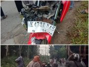 Tabrak Lembu, Pengendara Sepeda Motor Terkapar di Serbajadi