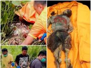 Warga Temukan Mayat Setengah Tengkorak Berkaos Jarot – Sihar di Lahan Sport Center Deli Serdang