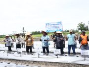 Atasi Inflasi, Bupati & Wabup Tanam Perdana Cabai Merah