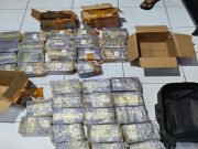Petugas Gabungan Bongkar Jaringan Narkoba Besar di Medan, 36 Kg Sabu Diamankan