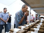 Pabrik Tembakau Deli Siap Bersaing, 2460 Batang Cerutu Kwalitas Segera Dipasarkan