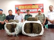 Kodim 0207 Simalungun Amankan Ganja 47, 20 Kg Tak Bertuan dari USI