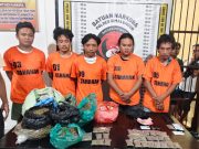 Peredaran Ganja di Destinasi Wisata Dibongkar