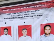 Pesta Demokrasi di Dusun Kepala Sungai I: Suriyandi Terpilih Sebagai Kadus