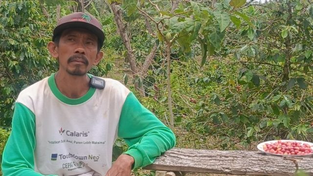Petani Kopi Sihaporas Kontribusi TPL Sangat Nyata