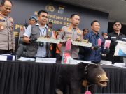 Polrestabes Ungkap Penjualan Beruang Madu dan Sisik Trenggiling