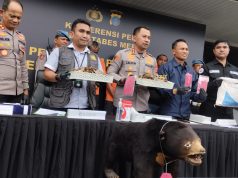 Polrestabes Ungkap Penjualan Beruang Madu dan Sisik Trenggiling