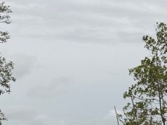 Badai Terjang Laut Selat Malaka, Kapal Tanker Terdampar di Pantai Labu