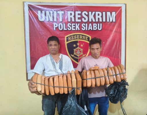 Kapolsek Siabu Pimpin Langsung Penangkapan Dua Kurir 22 Kg Ganja Warga Sinonoan