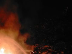 Gudang Penggilingan Kopra PT Eramas di Patumbak Terbakar