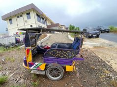 Satresnarkoba Polres Tapsel Gagalkan Peredaran 3 Kg Ganja, Dua Pelaku Ditangkap Gunakan Becak Motor