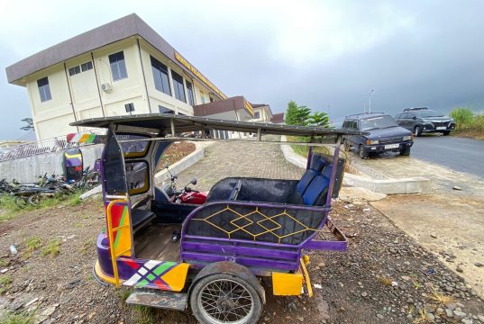 Satresnarkoba Polres Tapsel Gagalkan Peredaran 3 Kg Ganja, Dua Pelaku Ditangkap Gunakan Becak Motor