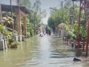 Banjir Rob Belawan Tak Kunjung Tuntas, Warga : Datang Hanya Tebar Pesona, Program Pembuatan Tanggul Cuma Omdo