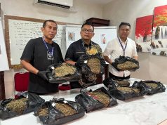 9,4 Kg Ganja Gagal Beredar di Medan