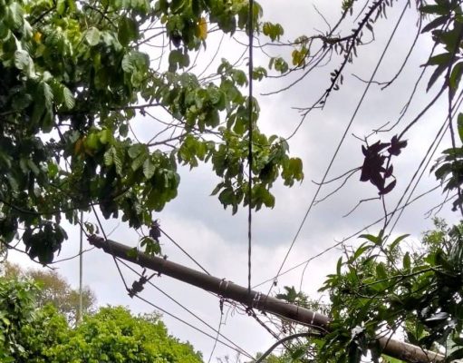 Hujan Angin Tumbangkan Tiang Listrik di Bandar Labuhan