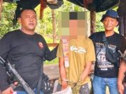 Berawal dari Informasi Warga, Polisi Langkat Ungkap 11 Batang Ganja di Perladangan