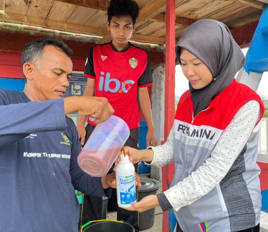 Pertamina Patra Niaga Regional Sumbagut Menjadi Pionir Probiotik MOL di Lhokseumawe, Perkuat Adaptasi Perubahan Iklim Petambak Udang Melalui Gampong Berdikari