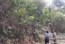Patroli Karhutla di Karo Nihil Titik Api, TNI dan Aparat Terus Siaga