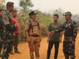 Program Karya Bakti Skala Besar Katingan Juga Menyasar Pembangunan PLTMH dan PLTS