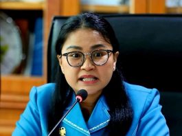 Margaret MS Soroti Jabatan Plt di Dinkes dan RS dr Pirngadi Medan