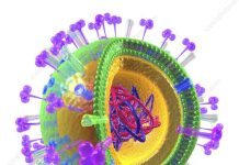 Dinkes Medan Imbau Warga Medan Waspadai Influenza A