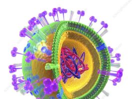 Dinkes Medan Imbau Warga Medan Waspadai Influenza A