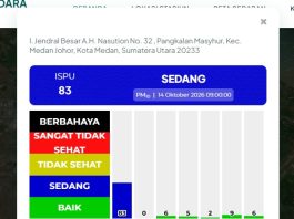 Respons Cepat Pantau Kualitas Udara, Pemko Medan Imbau Warga Kurangi Aktivitas Luar Ruangan